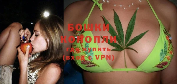 гидра Белокуриха