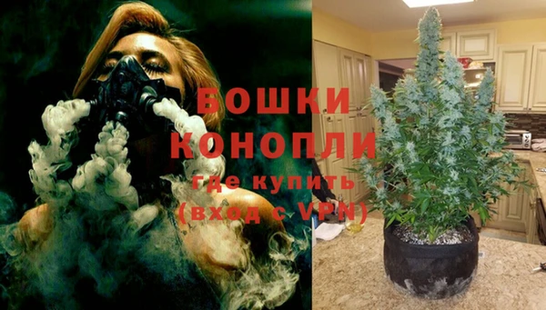 трава Богородицк