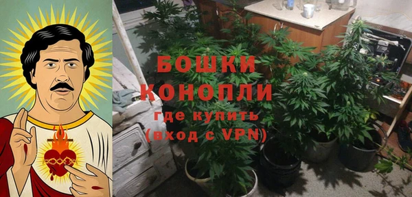гидра Белокуриха
