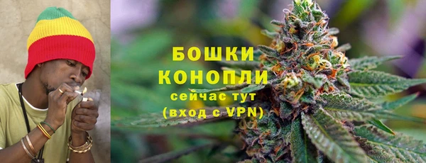 трава Богородицк